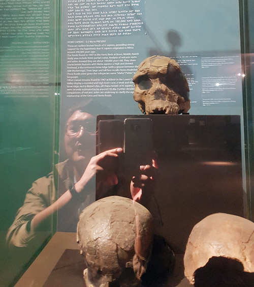 에티오피아 국립박물관에서 고대 인류 화석을 바라보는 김 교수